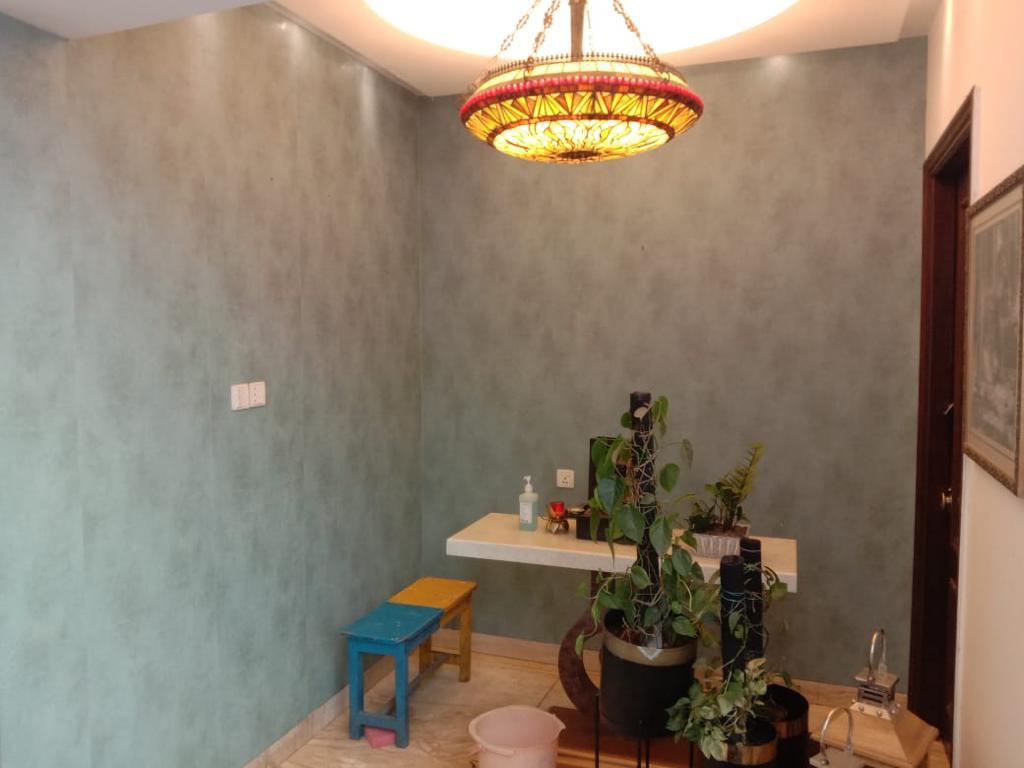 Textured Venetian Plaster Feature Wall, Kanpur